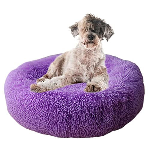 Beruhigendes Haustierbett, gemütliches Donut-Hundebett mit rutschfester Unterseite, maschinenwaschbar, Kuschelhütte, Welpenbett, Anti-Angst, rund, weiches Haustierbett, verbessertes Schlafen, Ø80 cm, Violett Beruhigendes Haustierbett, gemütliches Donut-Hundebett mit rutschfester Unterseite, maschinenwaschbar, Kuschelhütte, Welpenbett, Anti-Angst, rund, weiches Haustierbett, verbessertes Schlafen, Ø80 cm, Violett von ZOCIS