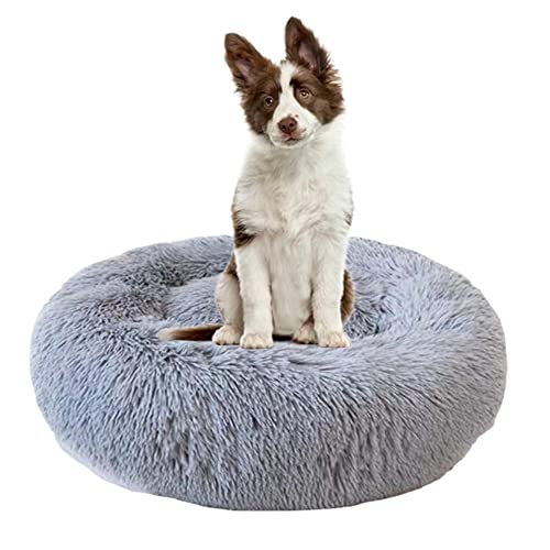 Beruhigendes Hundebett für Welpen, Kätzchen, Donut-Bett – rundes Haustierbett mit rutschfester Unterseite, großes Hundebett, Anti-Angst, verbessertes Schlafen, kuscheliges Plüsch-Hundebett, waschbar, Ø 110 cm, Grau Beruhigendes Hundebett für Welpen, Kätzchen, Donut-Bett – rundes Haustierbett mit rutschfester Unterseite, großes Hundebett, Anti-Angst, verbessertes Schlafen, kuscheliges Plüsch-Hundebett, waschbar, Ø 110 cm, Grau von ZOCIS