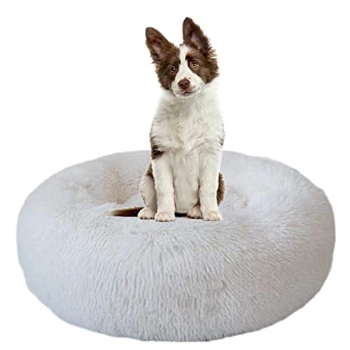 Beruhigendes Hundebett für Welpen, Kätzchen, Donut-Bett – rundes Haustierbett mit rutschfester Unterseite, großes Hundebett, Anti-Angst, verbessertes Schlafen, kuscheliges Plüsch-Hundebett, waschbar, Ø 110 cm, Weiß Beruhigendes Hundebett für Welpen, Kätzchen, Donut-Bett – rundes Haustierbett mit rutschfester Unterseite, großes Hundebett, Anti-Angst, verbessertes Schlafen, kuscheliges Plüsch-Hundebett, waschbar, Ø 110 cm, Weiß von ZOCIS