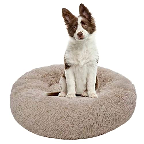 Beruhigendes Hundebett für Welpen, Kätzchen, Donut-Bett – rundes Haustierbett mit rutschfester Unterseite, großes Hundebett, Anti-Angst, verbessertes Schlafen, kuscheliges Plüsch-Hundebett, waschbar, Ø90 cm, Beige Beruhigendes Hundebett für Welpen, Kätzchen, Donut-Bett – rundes Haustierbett mit rutschfester Unterseite, großes Hundebett, Anti-Angst, verbessertes Schlafen, kuscheliges Plüsch-Hundebett, waschbar, Ø90 cm, Beige von ZOCIS