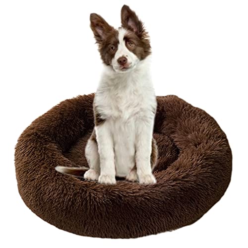 Beruhigendes Hundebett für Welpen, Kätzchen, Donut-Bett – rundes Haustierbett mit rutschfester Unterseite, großes Hundebett, Anti-Angst, verbessertes Schlafen, kuscheliges Plüsch-Hundebett, waschbar, Ø90 cm, Kaffee Beruhigendes Hundebett für Welpen, Kätzchen, Donut-Bett – rundes Haustierbett mit rutschfester Unterseite, großes Hundebett, Anti-Angst, verbessertes Schlafen, kuscheliges Plüsch-Hundebett, waschbar, Ø90 cm, Kaffee von ZOCIS