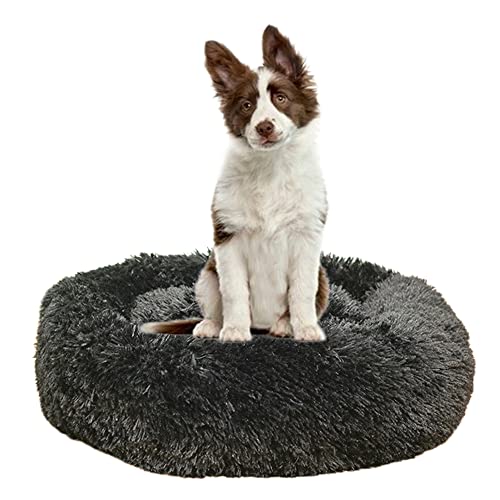 Beruhigendes Hundebett für Welpen, Kätzchen, Donut-Bett – rundes Haustierbett mit rutschfester Unterseite, großes Hundebett, Anti-Angst, verbessertes Schlafen, kuscheliges Plüsch-Hundebett, waschbar, Ø100 cm, schwarz Beruhigendes Hundebett für Welpen, Kätzchen, Donut-Bett – rundes Haustierbett mit rutschfester Unterseite, großes Hundebett, Anti-Angst, verbessertes Schlafen, kuscheliges Plüsch-Hundebett, waschbar, Ø100 cm, schwarz von ZOCIS