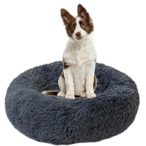 Beruhigendes Hundebett für Welpen, Kätzchen, Donut-Bett – rundes Haustierbett mit rutschfester Unterseite, großes Hundebett, Anti-Angst, verbessertes Schlafen, kuscheliges Plüsch-Hundebett, waschbar, Ø90 cm, Dunkelgrau Beruhigendes Hundebett für Welpen, Kätzchen, Donut-Bett – rundes Haustierbett mit rutschfester Unterseite, großes Hundebett, Anti-Angst, verbessertes Schlafen, kuscheliges Plüsch-Hundebett, waschbar, Ø90 cm, Dunkelgrau von ZOCIS