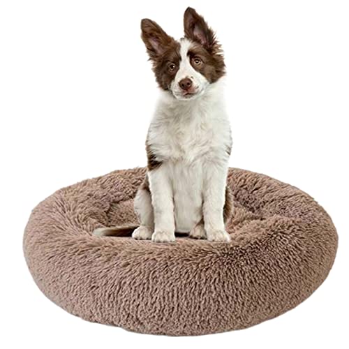 Beruhigendes Hundebett für Welpen, Kätzchen, Donut-Bett – rundes Haustierbett mit rutschfester Unterseite, großes Hundebett, Anti-Angst, verbessertes Schlafen – kuscheliges Plüsch-Hundebett, waschbar, Ø100 cm, Khaki Beruhigendes Hundebett für Welpen, Kätzchen, Donut-Bett – rundes Haustierbett mit rutschfester Unterseite, großes Hundebett, Anti-Angst, verbessertes Schlafen – kuscheliges Plüsch-Hundebett, waschbar, Ø100 cm, Khaki von ZOCIS