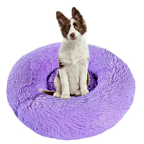 Beruhigendes Hundebett für Welpen, Kätzchen, Donut-Bett – rundes Haustierbett mit rutschfester Unterseite, großes Hundebett, Anti-Angst, verbessertes Schlafen – kuscheliges Plüsch-Hundebett, waschbar, Ø100 cm, Violett Beruhigendes Hundebett für Welpen, Kätzchen, Donut-Bett – rundes Haustierbett mit rutschfester Unterseite, großes Hundebett, Anti-Angst, verbessertes Schlafen – kuscheliges Plüsch-Hundebett, waschbar, Ø100 cm, Violett von ZOCIS