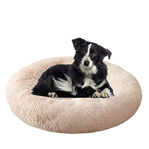 Beruhigendes Kuschel-Hundebett mit Donut-Haustierbett, rutschfeste Unterseite, flauschiges Plüsch-Hundebett, Sofa, Haustierbett, selbstwärmend, Kunstfell, rundes Hundebett, Anti-Angst-Bett für große, mittelgroße Hunde, Katzen, Ø60 cm, beige von ZOCIS