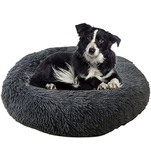 Calming Cuddler Hundebett Donut Haustierbett Anti-Rutsch-Unterseite Flauschiges Plüsch-Hundebett Sofa Haustierbett Selbstwärmendes Kunstfell Rundes Hundebett Anti-Angstbett für große mittelgroße Hunde Katzen, Ø110 cm, dunkel Grau Calming Cuddler Hundebett Donut Haustierbett Anti-Rutsch-Unterseite Flauschiges Plüsch-Hundebett Sofa Haustierbett Selbstwärmendes Kunstfell Rundes Hundebett Anti-Angstbett für große mittelgroße Hunde Katzen, Ø110 cm, dunkel Grau von ZOCIS