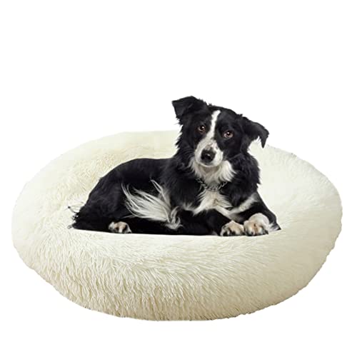 ZOCIS Calming Cuddler Hundebett, Donut-Haustierbett, rutschfeste Unterseite, flauschiges Plüsch-Hundebett, Sofa, Haustierbett, selbstwärmend, Kunstfell, rund, Anti-Angst-Bett für große, mittelgroße ZOCIS Calming Cuddler Hundebett, Donut-Haustierbett, rutschfeste Unterseite, flauschiges Plüsch-Hundebett, Sofa, Haustierbett, selbstwärmend, Kunstfell, rund, Anti-Angst-Bett für große, mittelgroße von ZOCIS