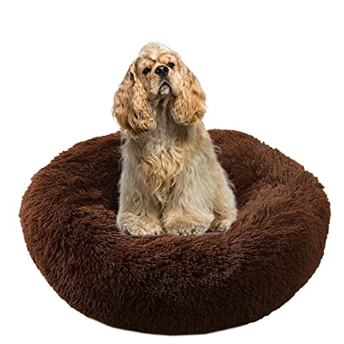 Cuddler Plüsch-Hundebett, beruhigend, Anti-Angst, extra groß, weiches, warmes Haustiernest, Sofa mit rutschfester Unterseite, rundes Haustierkissen, Welpenbett verbessert das Schlafen (Ø 100 cm, Kaffeebraun) Cuddler Plüsch-Hundebett, beruhigend, Anti-Angst, extra groß, weiches, warmes Haustiernest, Sofa mit rutschfester Unterseite, rundes Haustierkissen, Welpenbett verbessert das Schlafen (Ø 100 cm, Kaffeebraun) von ZOCIS