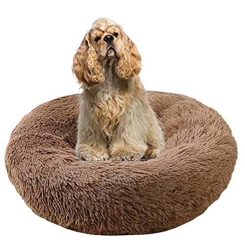 ZOCIS Cuddler Plüsch-Hundebett, beruhigend, Anti-Angst, extra groß, weich, warm, Haustiernest, Sofa mit rutschfester Unterseite, rundes Haustierkissen, Welpenbett, verbesserter Schlaf (Ø 160 cm, ZOCIS Cuddler Plüsch-Hundebett, beruhigend, Anti-Angst, extra groß, weich, warm, Haustiernest, Sofa mit rutschfester Unterseite, rundes Haustierkissen, Welpenbett, verbesserter Schlaf (Ø 160 cm, von ZOCIS