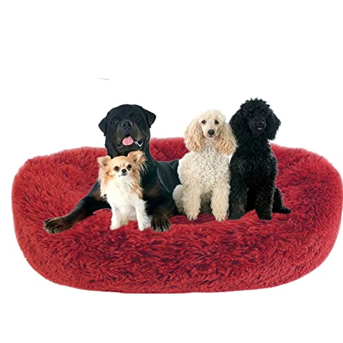 Donut-Haustierbett mit rutschfester Unterseite, flauschig, gemütlich, Plüsch-Hundebett, beruhigendes Hundebett, Welpenbett, Kuschelbett, rundes Haustierbett, Kissen für mittelgroße und große Hunde/Katzen, Ø100 cm, weinrot Donut-Haustierbett mit rutschfester Unterseite, flauschig, gemütlich, Plüsch-Hundebett, beruhigendes Hundebett, Welpenbett, Kuschelbett, rundes Haustierbett, Kissen für mittelgroße und große Hunde/Katzen, Ø100 cm, weinrot von ZOCIS