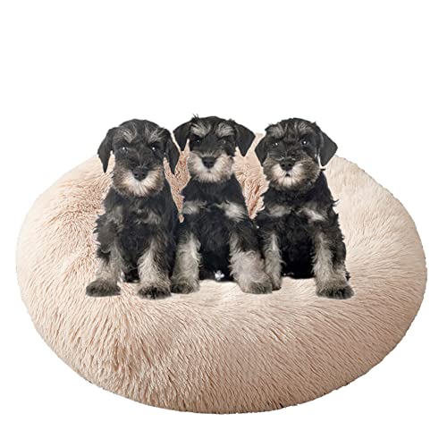 Großes, beruhigendes Hundebett, waschbar, rutschfeste Unterseite, Donut-Haustierbetten, Anti-Angst, warmes Welpen-Kuschelbett, rundes Hundebett, Kissen für verbesserten Schlaf, Ø 160 cm, Beige von PONLEE