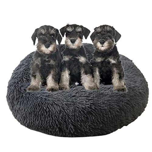 Großes, beruhigendes Hundebett, waschbar, rutschfeste Unterseite, Donut-Haustierbetten, Anti-Angst, warmes Welpen-Kuschelbett, rundes Hundebett, Kissen für verbesserten Schlaf, Ø90 cm, Dunkelgrau Großes, beruhigendes Hundebett, waschbar, rutschfeste Unterseite, Donut-Haustierbetten, Anti-Angst, warmes Welpen-Kuschelbett, rundes Hundebett, Kissen für verbesserten Schlaf, Ø90 cm, Dunkelgrau von ZOCIS