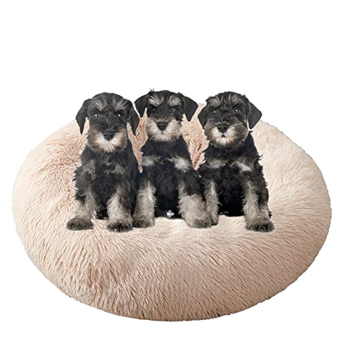 Großes beruhigendes Hundebett, waschbar, rutschfeste Unterseite, Donut-Haustierbetten, Anti-Angst, warmes Welpen-Kuschelbett, rundes Hundebett, Kissen für verbesserten Schlaf, Ø90 cm, Beige Großes beruhigendes Hundebett, waschbar, rutschfeste Unterseite, Donut-Haustierbetten, Anti-Angst, warmes Welpen-Kuschelbett, rundes Hundebett, Kissen für verbesserten Schlaf, Ø90 cm, Beige von ZOCIS