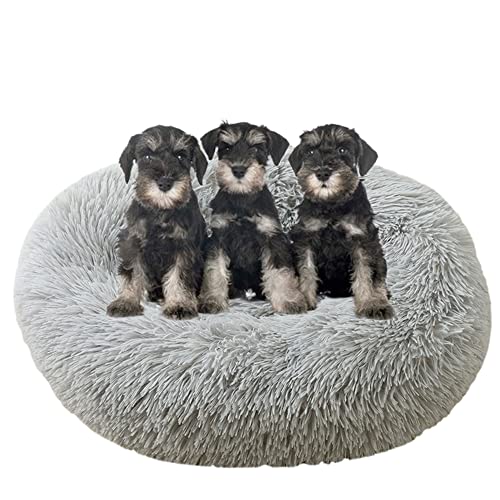 Großes beruhigendes Hundebett, waschbar, rutschfeste Unterseite, Donut-Haustierbetten, Anti-Angst, warmes Welpen-Kuschelbett, rundes Hundebett, Kissen für verbesserten Schlaf, Ø90 cm, Grau Großes beruhigendes Hundebett, waschbar, rutschfeste Unterseite, Donut-Haustierbetten, Anti-Angst, warmes Welpen-Kuschelbett, rundes Hundebett, Kissen für verbesserten Schlaf, Ø90 cm, Grau von ZOCIS