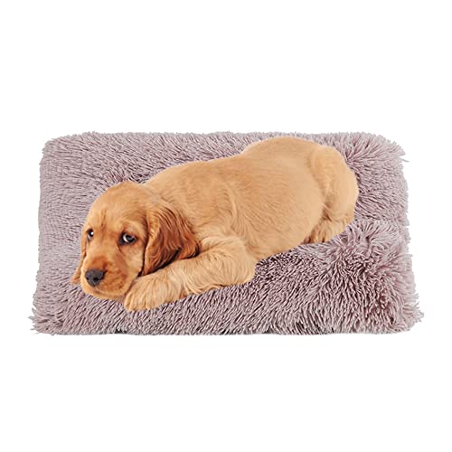 Hundematte Pad Waschbar Gemütliche Plüsch Hundebox Bett Matte mit rutschfester Unterseite Hundebett Matratze Anti-Angst Hundekissen Matten Abnehmbarer Bezug Haustierbett Pad, 140 cm x 110 cm x 15 cm, von ZOCIS