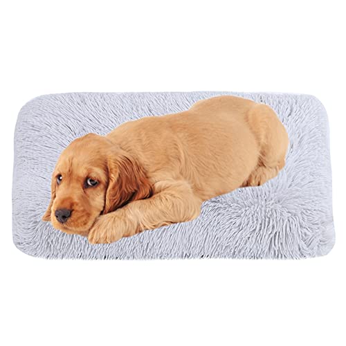 Hundematte Pad Waschbar Gemütliche Plüsch Hundebox Bett Matte mit rutschfester Unterseite Hundebett Matratze Anti-Angst Hundekissen Matten Abnehmbarer Bezug Haustierbett Pad,70 cm x 50 cm x 8 cm,Grau von ZOCIS