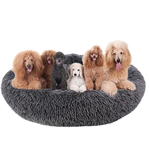 Kuddler Hundebett, flauschig, Plüsch, Haustierbett, runde Hundebetten, rutschfeste Unterseite, Welpen-Sofa, Bett, mittelgroß, Haustierkissen, Anti-Angst-Hundebett, waschbar, Ø80 cm, Dunkelgrau Kuddler Hundebett, flauschig, Plüsch, Haustierbett, runde Hundebetten, rutschfeste Unterseite, Welpen-Sofa, Bett, mittelgroß, Haustierkissen, Anti-Angst-Hundebett, waschbar, Ø80 cm, Dunkelgrau von ZOCIS