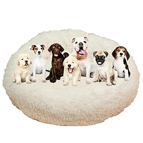 Langes Plüsch-Donut-Hundebett für große Hunde, bequemes, flauschiges Haustierbett, Kissenmatte mit rutschfester Unterseite, beruhigendes Hundebett, waschbar, Anti-Angst-Welpenbett, Ø 140 cm, Weiß Langes Plüsch-Donut-Hundebett für große Hunde, bequemes, flauschiges Haustierbett, Kissenmatte mit rutschfester Unterseite, beruhigendes Hundebett, waschbar, Anti-Angst-Welpenbett, Ø 140 cm, Weiß von ZOCIS