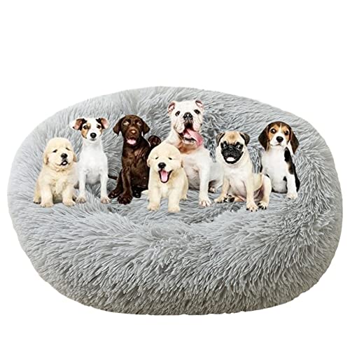 Langes Plüsch-Donut-Hundebett für große Hunde, bequemes, flauschiges Haustierbett, Kissenmatte mit rutschfester Unterseite, beruhigendes Hundebett, waschbar, Anti-Angst-Welpenbett, Ø 150 cm, Grau Langes Plüsch-Donut-Hundebett für große Hunde, bequemes, flauschiges Haustierbett, Kissenmatte mit rutschfester Unterseite, beruhigendes Hundebett, waschbar, Anti-Angst-Welpenbett, Ø 150 cm, Grau von ZOCIS
