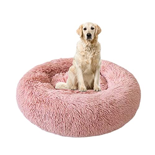 Runde Betten für Katzen und Hunde, gemütliches, beruhigendes Haustierkissen mit rutschfester Unterseite, flauschiges Plüsch-Welpenbett, Angstlinderung, Kuschelhütte für große, mittelgroße und kleine Hunde, Ø 120 cm, Rosa Runde Betten für Katzen und Hunde, gemütliches, beruhigendes Haustierkissen mit rutschfester Unterseite, flauschiges Plüsch-Welpenbett, Angstlinderung, Kuschelhütte für große, mittelgroße und kleine Hunde, Ø 120 cm, Rosa von ZOCIS