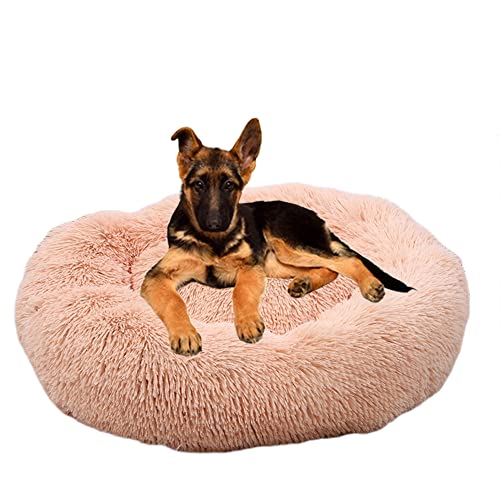 Rutschfestes rundes Plüsch-Hundebett – beruhigendes Donut-Kuschelbett – flauschig, weich, waschbar, für Katzen, Hunde, Anti-Angst und verbessert das schlafen, 50 cm, Aprikose von ZOCIS