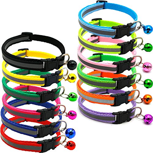 ZOCONE Halsband Katzenhalsband Katzenhalsband mit Glocke, verstellbar, Reflektor in Fluoreszenz, Sicherheitsschnalle, Schnellspanner, geeignet für die meisten Katzen von ZOCONE