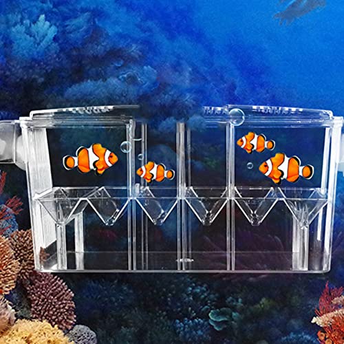 ZONEWD Fischaufzuchtbox für Aquarium | Acryl Brüterei Inkubator Tank Fischzucht Box - Fish Separator Breeding Box Hatchery Incubator Akklimatisierungsbox von ZONEWD