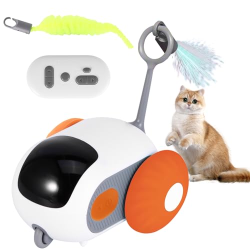 Katzenspielzeug für Indoor-Katzen, intelligentes interaktives Katzenspielzeug mit Zwei-Geschwindigkeitsanpassung, Fernbedienung, USB-wiederaufladbar, automatisches Katzenübungsspielzeug mit von ZONJIE