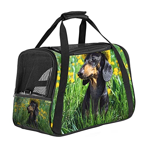 Tragbare Haustier-Reisetasche, von Fluggesellschaften zugelassene Duffle-Taschen für Katzen, Hunde, Kaninchen mit weichen Seiten, schönem Dackel-Aufdruck von ZORE_FINE5