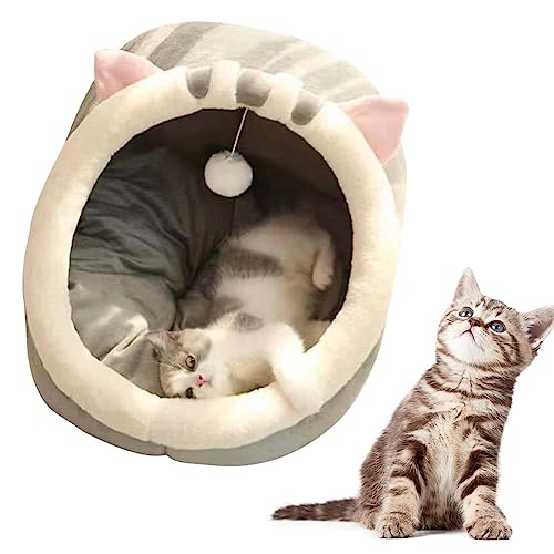 Haus für Katzen | Niedliche Betten für Indoor-Katzen | Dekorative halb geschlossene Haustierhöhle mit hängendem Spielzeug und Wattepad für Welpen Kätzchen Zorq von ZORQ