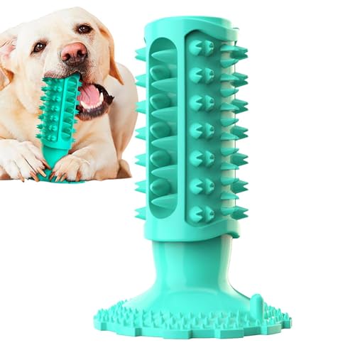 ZORQ Hundespielzeug Zähneknirschen - Spielzeug zum Zähneputzen von Welpen mit gezacktem Beißhöcker - Kauspielzeug für Hunde, Zahnreiniger für Tierklinik, Tierheim, Zuhause, Tierhandlung von ZORQ