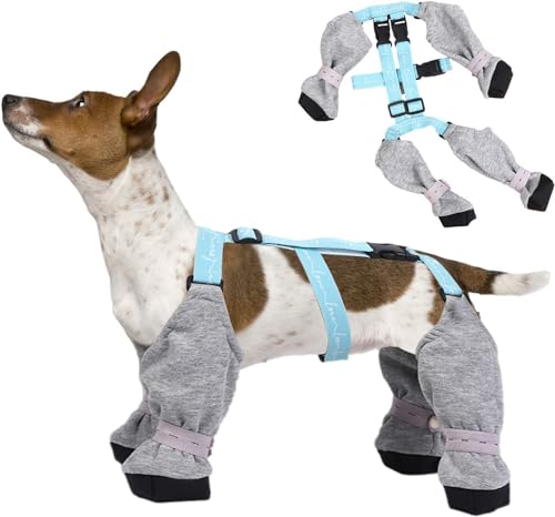 Hundepfotenstiefel-Leggings, Strapsstiefel für Hunde, schützende Allwetter-Hundehose, Hundeschuhe, Regen mit verstellbarem Riemen, verstellbar von ZOUBAOQ