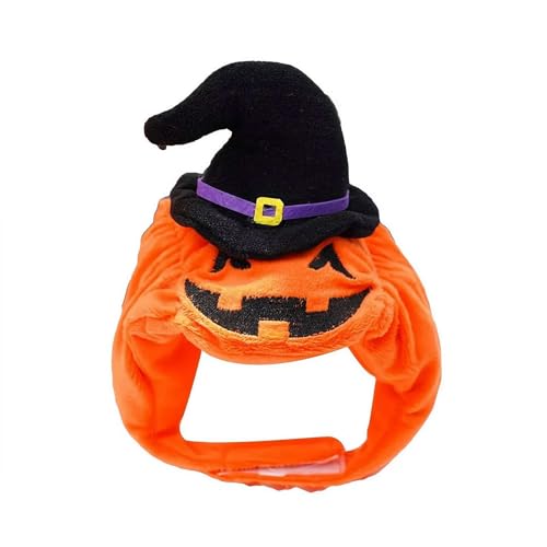 ZOUBAOQ Hunde-Kürbis-Halloween-Kostüme, lustige Kürbislaterne, Hunde-Outfit, Haustierwelpe, dicker Plüsch-Kürbis-Dekoration, Kleidung, niedliche Halloween-Party, Cosplay, Verkleidungs-Outfits von ZOUBAOQ