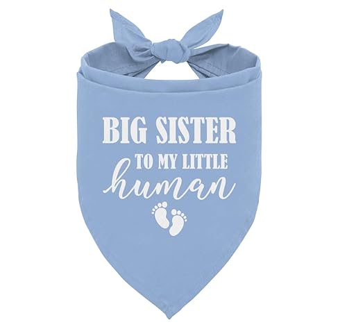 Big Sister Hundehalstuch, Babyblau, Hundehalstuch, Big Sister Bandana für Hunde, Gender Reveal Dog Bandana, Baby Ankündigung Hundehalstuch, Hundehalstuch für kleine, mittelgroße und große Hunde, von ZPPRJF