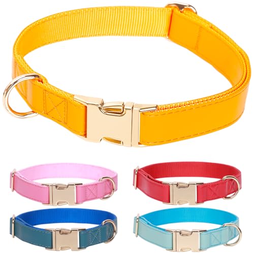 ZQDJ Hundehalsband aus Mikrofaser-Leder, Nylon, für männliche, weibliche Jungen, Mädchen, Welpen (L, Orange Gelb) von ZQDJ