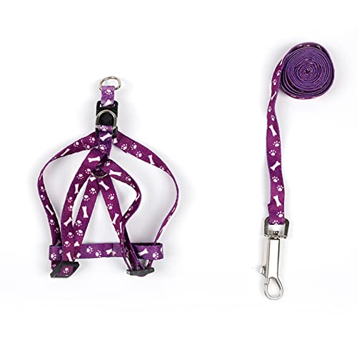 Schleppleine für Hunde Pet Dog Bone Printing Geschirr und Leine Set Sommer Chihuahua Geschirr für kleine Hunde Hundeleine(Purple) von ZRHYRG