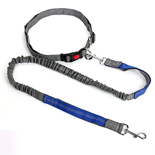 Schleppleine für Hunde Reflektierende Leine Traktionsseil Haustier Hund Laufgürtel Elastische Jogging Pull Hundeleine Hundeleine(Gray Blue) von ZRHYRG