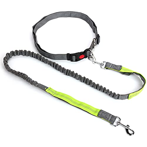 Schleppleine für Hunde Reflektierende Leine Traktionsseil Haustier Hund Laufgürtel Elastische Jogging Pull Hundeleine Hundeleine(Gray Green) von ZRHYRG