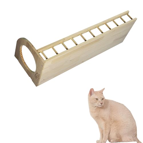 ZSXZCBDQ Katzen-Kletterwand-Set, Katzen-Wandmöbel, Platzsparende Katzen-Kletterwand, Katzen-Kletterwand-Set,(Package 11) von ZSXZCBDQ