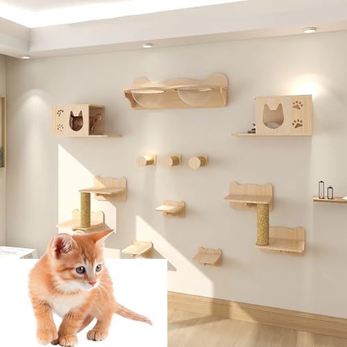 ZSXZCBDQ Katzen-Wandmöbel-Set, Katzenregal Und Wandstange, Wandregal Für Die Wandmontage Einer Katzenwohnung(Package 5) von ZSXZCBDQ