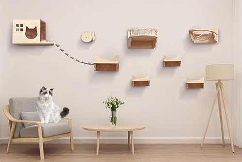 ZSXZCBDQ Katzenkletterwand, Superstabile Katzenmöbel, Katzenhaus Und Wandkatzenstufen, Platzsparende DIY-Katzenkletterwand,(Package 1) von ZSXZCBDQ