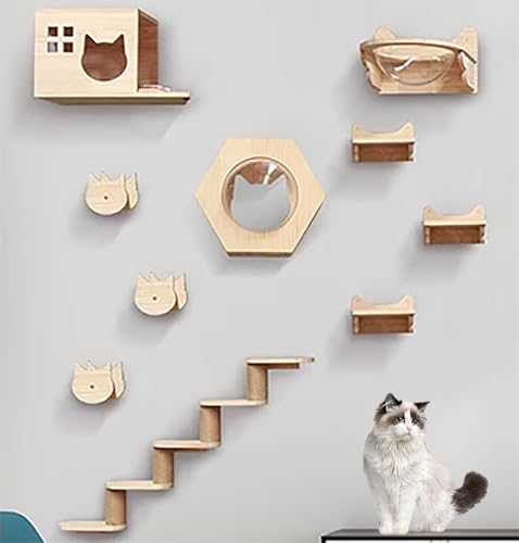 ZSXZCBDQ Katzenkletterwand, Superstabile Katzenmöbel, Katzenhaus Und Wandkatzenstufen, Platzsparende DIY-Katzenkletterwand,(Package 7) von ZSXZCBDQ