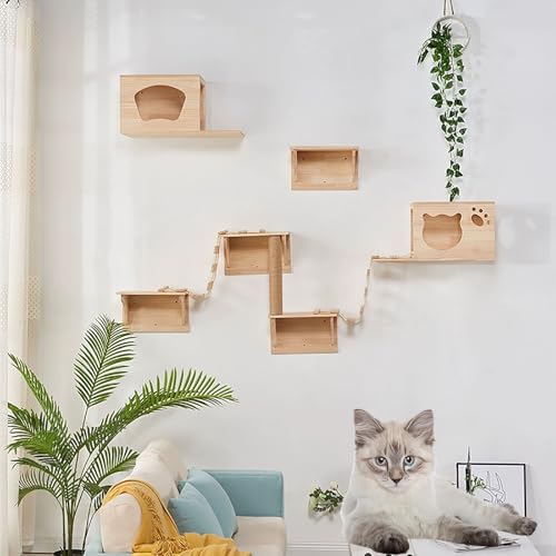 ZSXZCBDQ Kletterwand Für Katzen, Kletterkatzenbett, Katzenkletterwand, Katzentreppen Drinnen Und Draußen,(Package 2) von ZSXZCBDQ