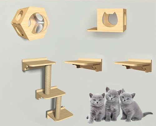 ZSXZCBDQ Kletterwand Für Katzen Mit Katzentreppe, Katzenwandelemente, Einfach Zu Montieren,(Package 2) von ZSXZCBDQ