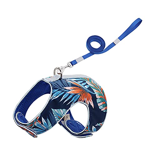 ZUOLUO Hundegeschirr Hundegeschirr Kleine Hunde Hundegeschirr groß ohne ziehen Kein Zuggurt für Hunde Hundegeschirr Medium No Pull Katzengeschirr mit Blei Large,Blue von ZUOLUO