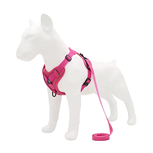 ZUOLUO Hundegeschirr Kleine Hunde Hundegeschirr Mittelgroße Hunde Hundehalfter, um Nicht mehr an der Leine zu ziehen Hundegeschirr klein verstellbar Medium,Rose red von ZUOLUO