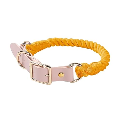 Handgewebtes, farbenfrohes Hundeleinen-Set aus Leder for Hundehalsbänder (Color : Orange, Size : 150cm+M) von ZWHHW