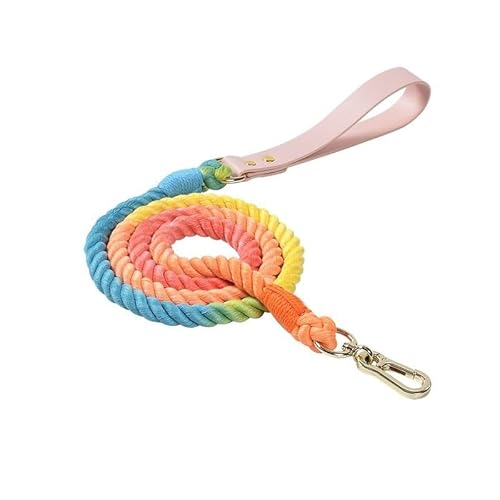 Handgewebtes, farbenfrohes Hundeleinen-Set aus Leder for Hundehalsbänder (Color : Rainbow, Size : 120cm*12mm) von ZWHHW