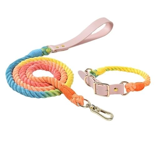 Handgewebtes, farbenfrohes Hundeleinen-Set aus Leder for Hundehalsbänder (Color : Rainbow, Size : 150cm+L) von ZWHHW
